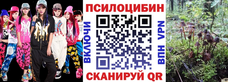 цены наркотик  Воронеж  Галлюциногенные грибы прущие грибы 